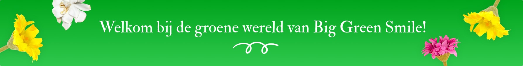 Over Big Green Smile Over Big Green Smile