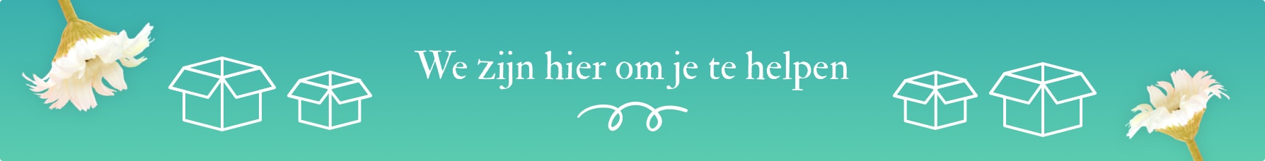 Onze diensten Onze diensten