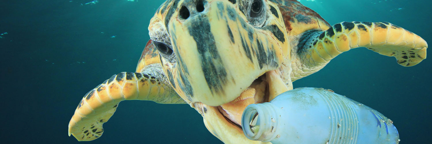 dagelijks leven met minder plastic