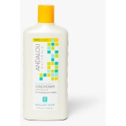 Andalou Zonnebloem & Citrus Brilliant Shine Conditioner