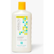 Andalou Zonnebloem & Citrus Brilliant Shine Shampoo