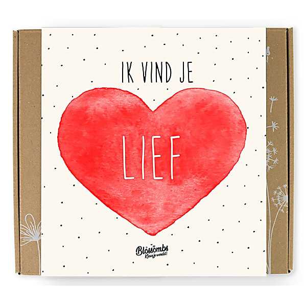 Image of Blossombs Zaadbommetjes Gift Box Medium - Lief