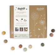 Blossombs Zaadbommetjes Gift Box - Medium