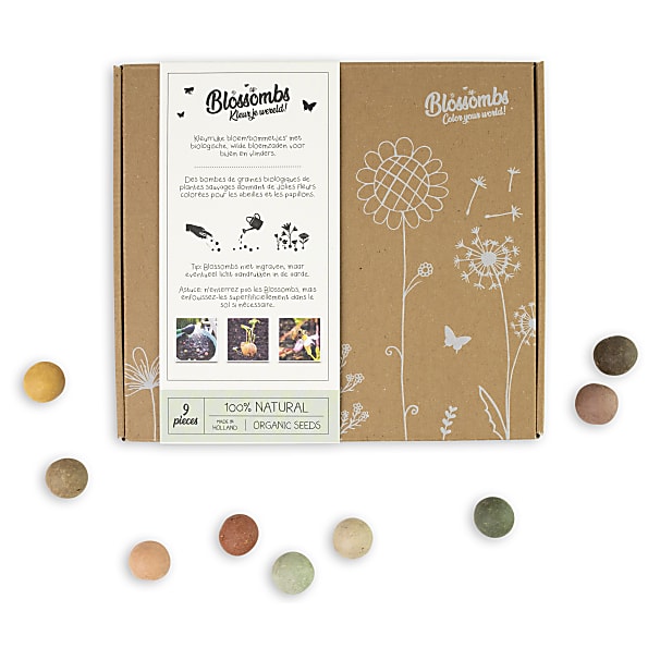 Image of Blossombs Zaadbommetjes Gift Box - Medium