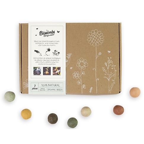 Blossombs Zaadbommetjes Gift Box - Small