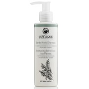 Odylique Gentle Herb Shampoo 200ml