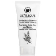 Odylique Gentle Herb Shampoo - 20ml Reisverpakking