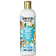 Inecto Pure Argan Shampoo