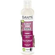 Sante Family Glansshampoo Bio Berkenblad 250 ml