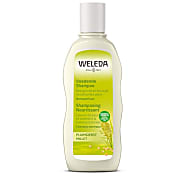 Weleda Pluimgierst Milde Shampoo (dagelijks gebruik)