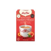 Yogi Tea Positive Energy Bio Thee (17 zakjes)