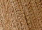 Naturtint 7.34 Hair colour 7.34